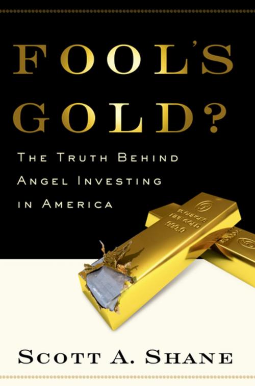 Cover of the book Fool's Gold? by Scott Shane, Oxford University Press