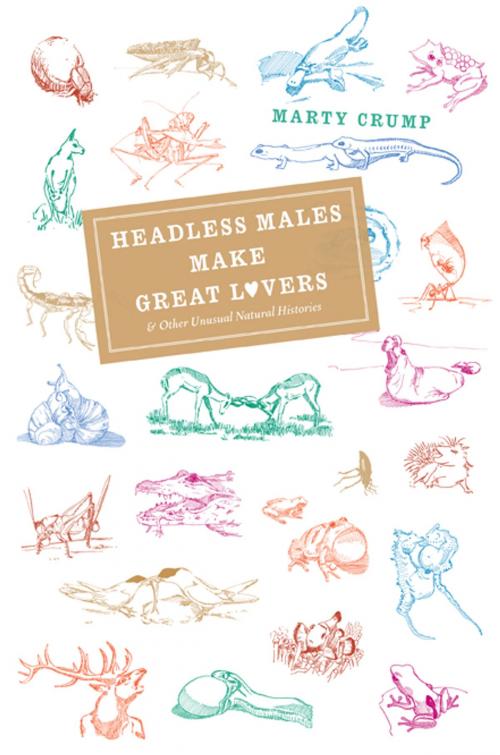 Cover of the book Headless Males Make Great Lovers by Marty Crump, University of Chicago Press