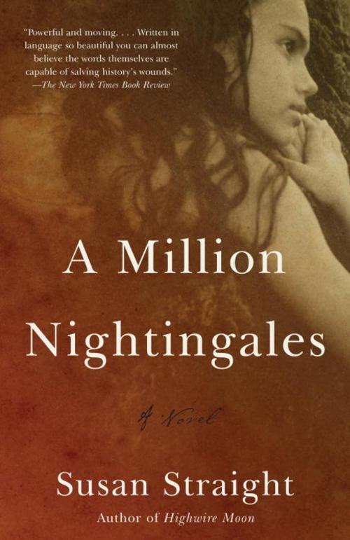 Cover of the book A Million Nightingales by Susan Straight, Knopf Doubleday Publishing Group