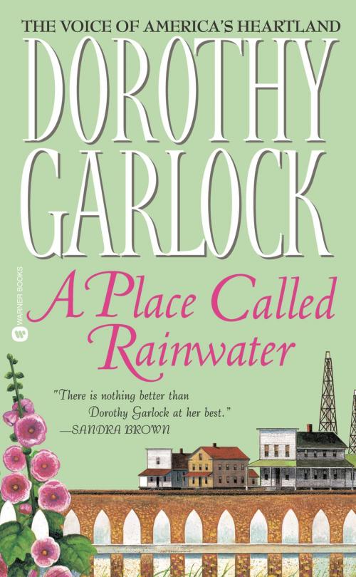 Cover of the book A Place Called Rainwater by Dorothy Garlock, Grand Central Publishing