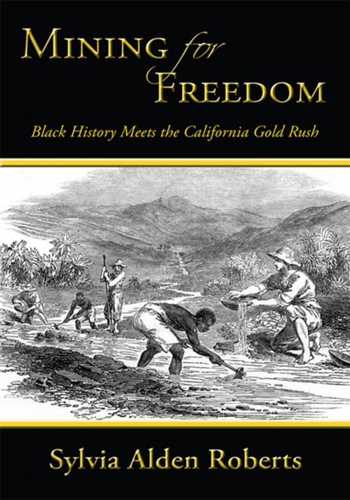 Cover of the book Mining for Freedom by Sylvia Alden Roberts, iUniverse