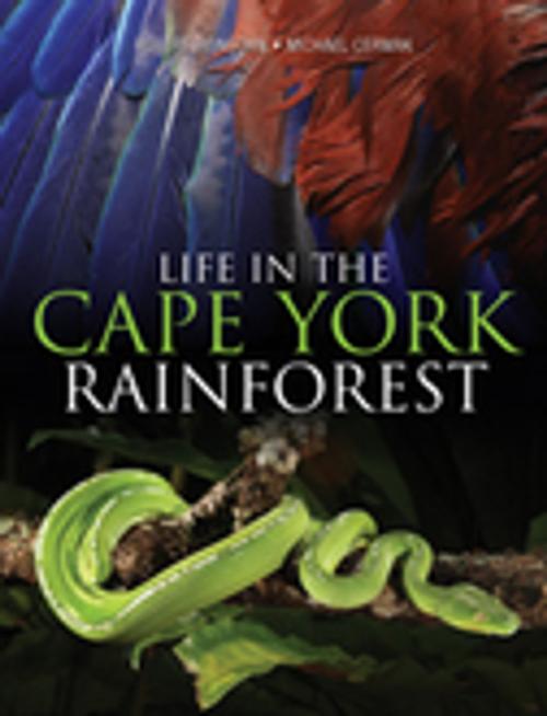 Cover of the book Life in the Cape York Rainforest by , CSIRO PUBLISHING