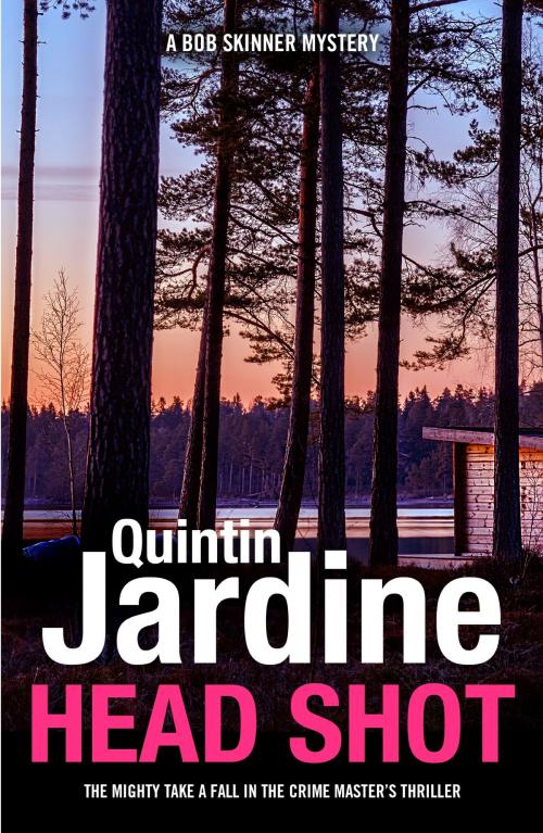 Cover of the book Head Shot (Bob Skinner series, Book 12) by Quintin Jardine, Headline