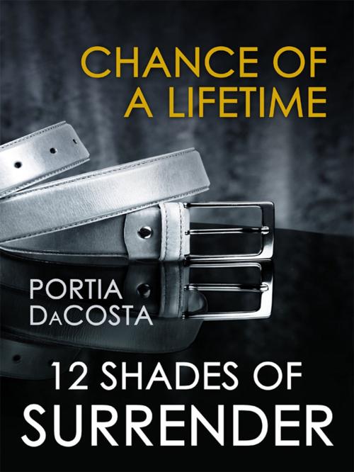 Cover of the book Chance of a Lifetime by Portia Da Costa, Spice