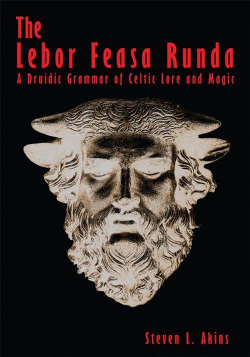 Cover of the book The Lebor Feasa Runda by Steven L. Akins, iUniverse