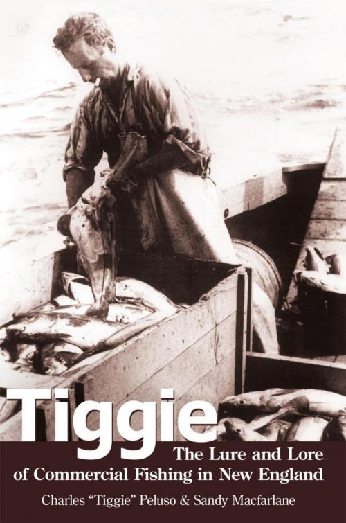 Cover of the book Tiggie by Charles “Tiggie” Peluso, iUniverse