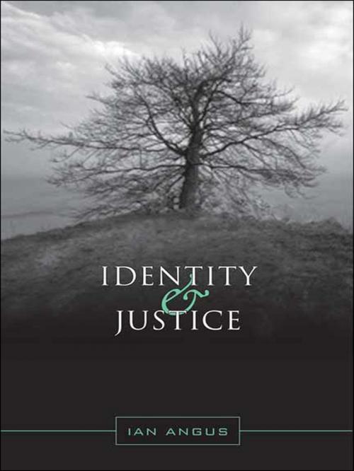 Cover of the book Identity and Justice by Ian Angus, University of Toronto Press, Scholarly Publishing Division