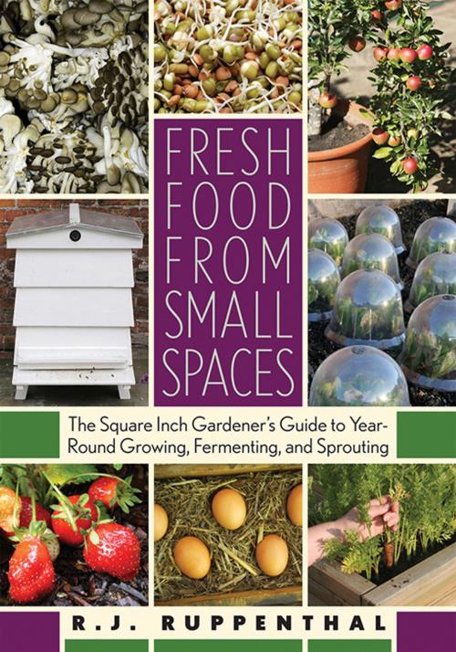 Cover of the book Fresh Food from Small Spaces by R.J. Ruppenthal, Chelsea Green Publishing