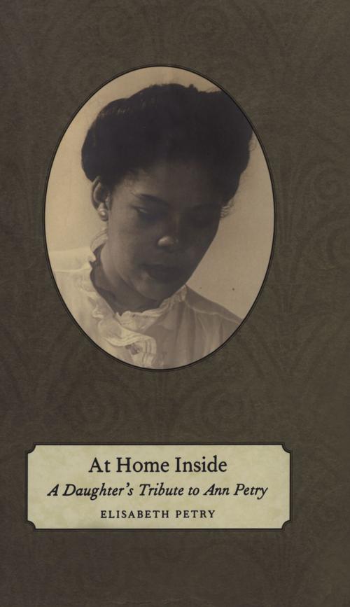 Cover of the book At Home Inside by Elisabeth Petry, University Press of Mississippi
