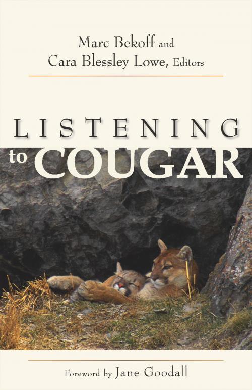 Cover of the book Listening to Cougar by Cara Blessley Lowe, University Press of Colorado
