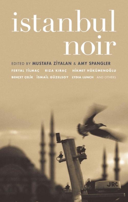 Cover of the book Istanbul Noir by , Akashic Books