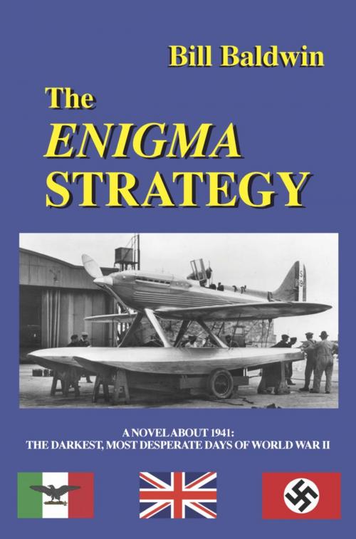 Cover of the book THE ENIGMA STRATEGY by Bill Baldwin, BookLocker.com, Inc.