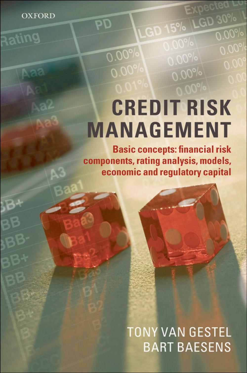 Big bigCover of Credit Risk Management
