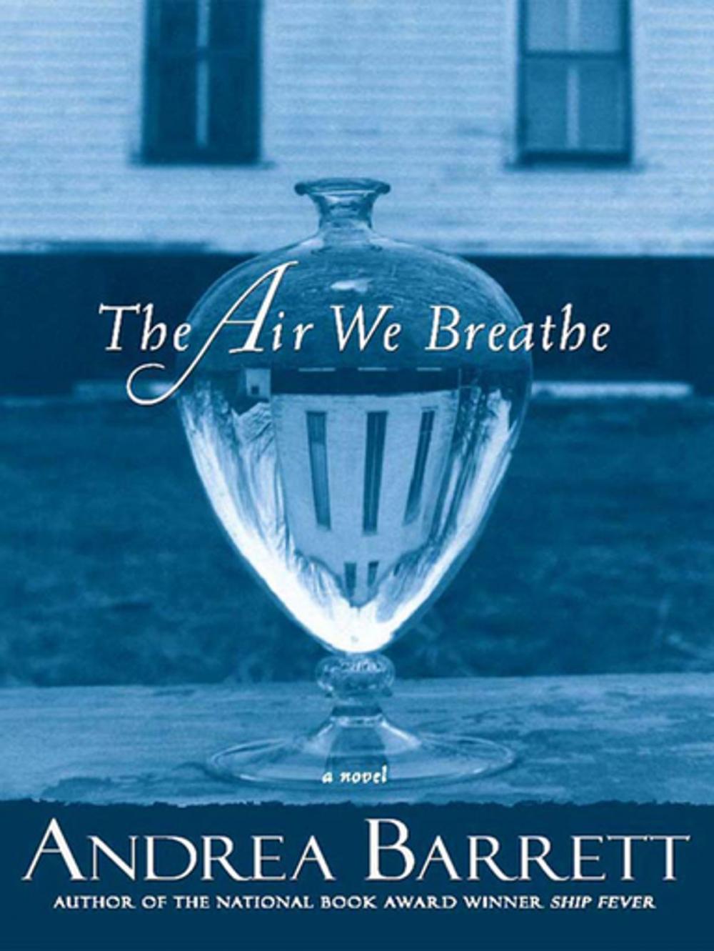 Big bigCover of The Air We Breathe: A Novel