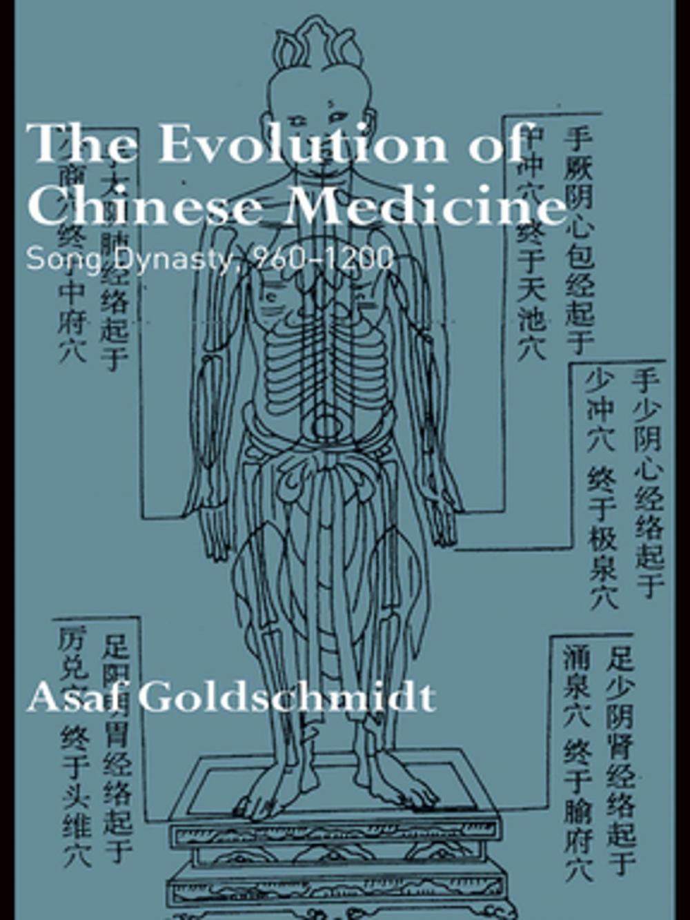 Big bigCover of The Evolution of Chinese Medicine