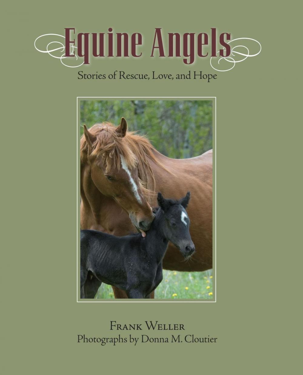 Big bigCover of Equine Angels