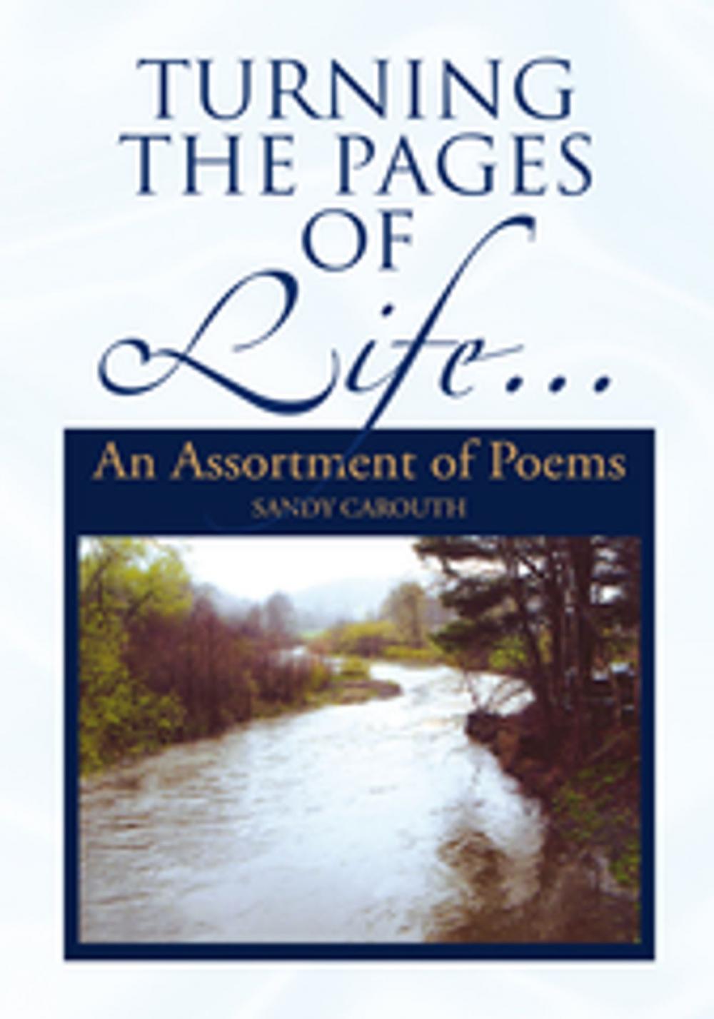 Big bigCover of Turning the Pages of Life…