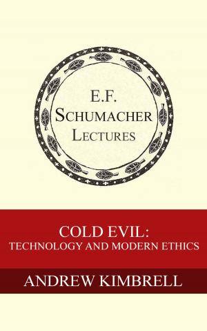 Book cover of Cold Evil: Technology and Modern Ethics
