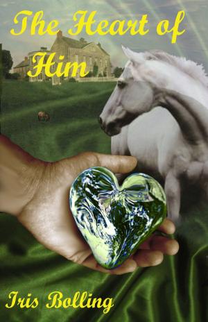 bigCover of the book The Heart of Him by 
