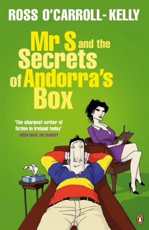 Book cover of Mr S and the Secrets of Andorra's Box