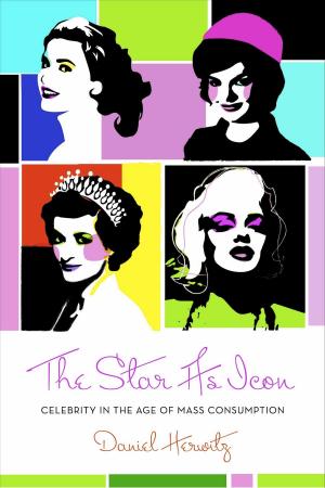 Cover of the book The Star as Icon by Edward Hess