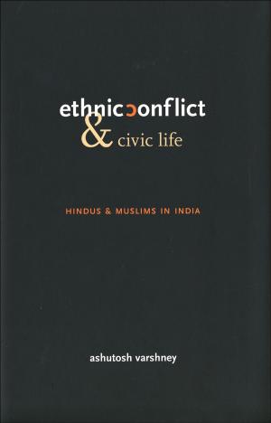Book cover of Ethnic Conflict and Civic Life