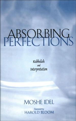bigCover of the book Absorbing Perfections by 