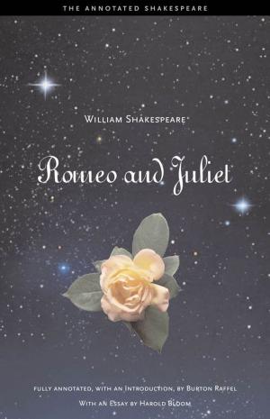 Cover of the book Romeo and Juliet by Stephanie Dagg