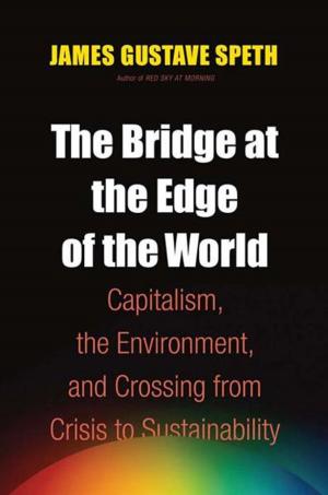 Cover of the book The Bridge at the Edge of the World: Capitalism, the Environment, and Crossing from Crisis to Sustainability by R. J. B. Bosworth