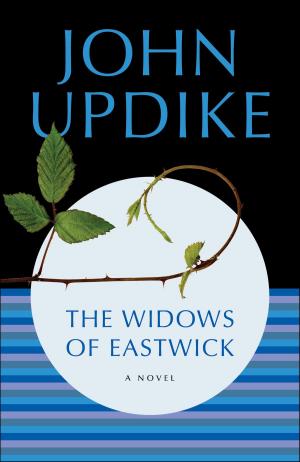 Book cover of The Widows of Eastwick