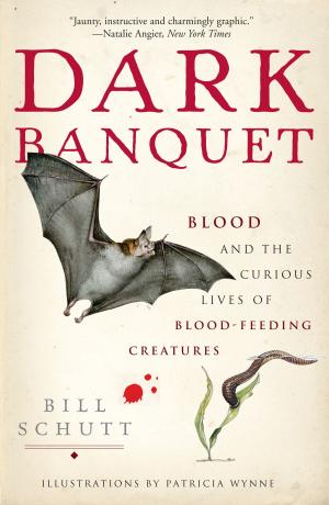 Book cover of Dark Banquet