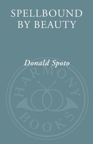 Book cover of Spellbound by Beauty