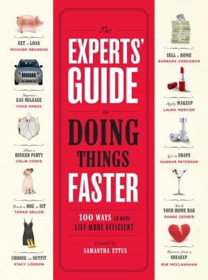 Cover of the book The Experts' Guide to Doing Things Faster by Potter, Geoff