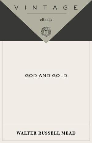 Cover of the book God and Gold by Brownwyn Elsmore