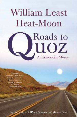 Cover of the book Roads to Quoz by Lee Goldman, 