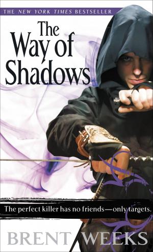 Cover of the book The Way of Shadows by Rob Boffard