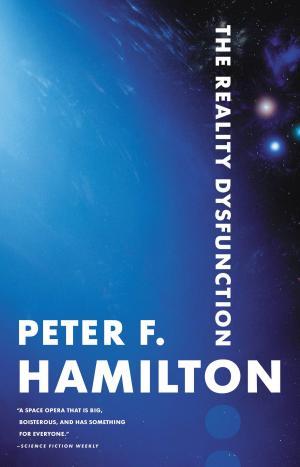 Cover of the book The Reality Dysfunction by Jeff Somers