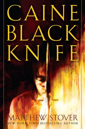 Cover of the book Caine Black Knife by Timothy Zahn