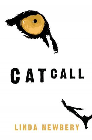 Book cover of Catcall