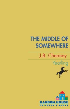 Cover of the book The Middle of Somewhere by Lenore Look