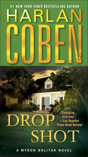 Cover of the book Drop Shot by Anne Perry