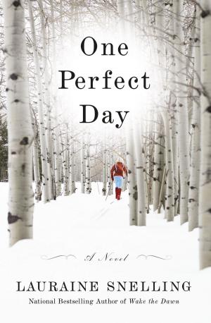 Cover of the book One Perfect Day by Tracey Bateman