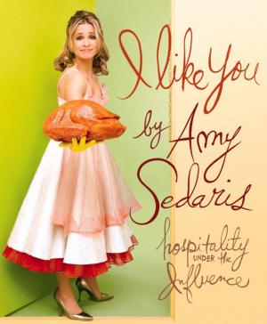 Cover of the book I Like You by Marie Tillman