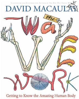 Book cover of The Way We Work