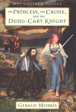 Book cover of The Princess, the Crone, and the Dung-Cart Knight