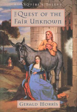 Cover of the book The Quest of the Fair Unknown by Betty Crocker