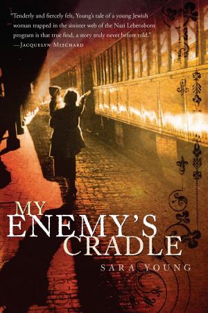 Cover of the book My Enemy's Cradle by Vivian Vande Velde