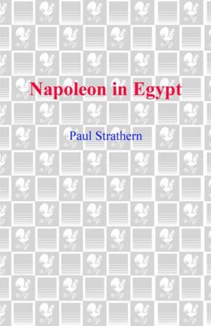 Book cover of Napoleon in Egypt
