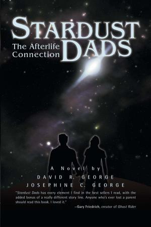Cover of the book Stardust Dads by Lenore McKelvey Puhek