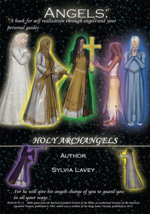 Cover of the book Angels by Steven WinterHawk